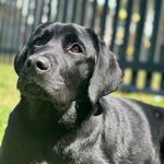 Bailey Buck Wood - @baileybuck2023 - Instagram