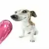 bailey buckingham - @bailey._.b4 - TikTok