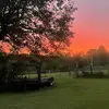 ᑲᥲіᥣᥱᥡ - @baileybuckingham17 - TikTok