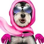 Bailey & buddies® 🇬🇧 - @baileybuddiesuk - Instagram