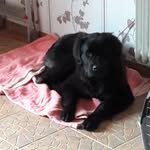 Buffy.Bailey.Bootsmann - @buffy.bailey.bootsmannxoxo - Instagram