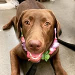 Bailey Bunch - @baileyleebunch - Instagram