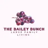 Brittany Bailey - @thebaileybunch422 - TikTok