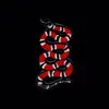 baileyburch1 - @baileyburch1 - TikTok