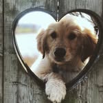Bailey - @bailey_burden - Instagram