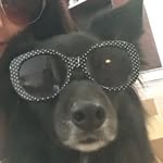 arlene - @baileyburger_ - Instagram