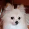 bailey - @bailey.burger - TikTok