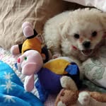 Bailey Burger - @burger_peralta1 - Instagram