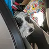 Bailey Burkhalter - @itsybitsybailey - TikTok