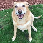 Bailey Burkhardt - @baileychunkers - Instagram