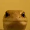 bailey burkhart - @bailey.burkhart - TikTok