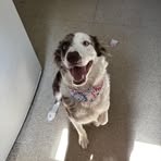 Bailey Burkhart - Facebook