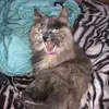 Bailey Burnett - @baileyburnett24 - TikTok