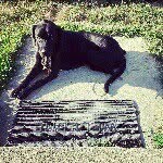 Bailey Burnette - @that_dog_1 - Instagram
