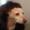 Bailey B - @bailey_button - TikTok