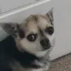 Bailey - @bailey._.buttons - TikTok