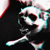 Bailey - @bailey.buttons - TikTok