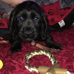 Bailey Boyd - @bailey__button - Instagram