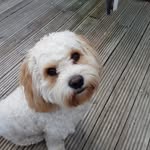 Bailey Button - @baileybutton2 - Instagram