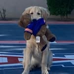 bailey button - @baileyboothegolden - Instagram