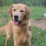 Bailey Button - Facebook