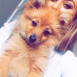 Bailey Button - @baileybuttonthepom - Instagram