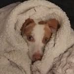 bailey button - @_baileybutton_ - Instagram