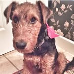 Bailey Button - @bailey.button.adventures - Instagram