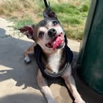 Bailey Button - @_bailey__button - Instagram
