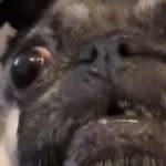 Bailey Button - @bailey_butin - Instagram
