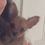 Bailey Button - @bailey_button_xoxo - Instagram