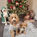 Bailey Button & Teddy Bear - @baileybutton0422 - Instagram