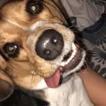 Bailey Button Brognano - @baileybuttonbrognano - Instagram