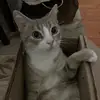 bailey_buttons2 - @bailey_buttons2 - TikTok