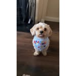 @bailey_buttons_ - Instagram