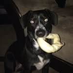 Bailey Smith Christman Button - @bailey___button - Instagram
