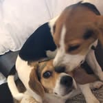 @baileybutton____ - Instagram