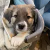 BaileyButtons - @bailey_button22 - TikTok