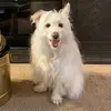 user4482751373209 - @bailey_butts - TikTok