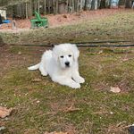Bailey Byers - @baileybyers5 - Instagram