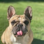 Bailey Byrne - @bailey_byrne - Instagram