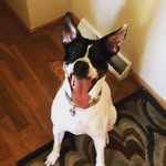 bailey byrnes - @grass_lawn - Instagram