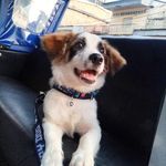 Bailey Caleb Cabrera - @baileycalebcabrera - Instagram