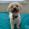 Bailey Cadman - @bailey.cadman - TikTok