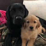 Bailey + Callie Ballou - @bailey_callie_ballou - Instagram