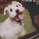 Bailey - @bailey_camacho - Instagram