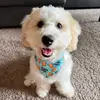 Bailey - @baileychamberlain - TikTok