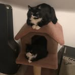 Bailey Chamberlain - Facebook