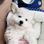 Bailey cotton - @baileycottonboo7 - Instagram