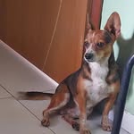 Hotto Bailey de Souza Carvalho - @hottobailey2018 - Instagram